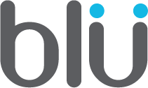 Blu Smart Toothbrush 