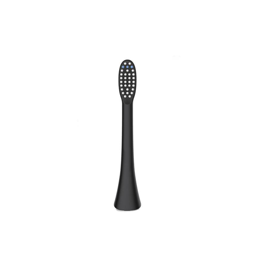 BLÜ Family Brush Head Bundle – Save 5%